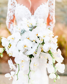 Amber Lynn Photography
